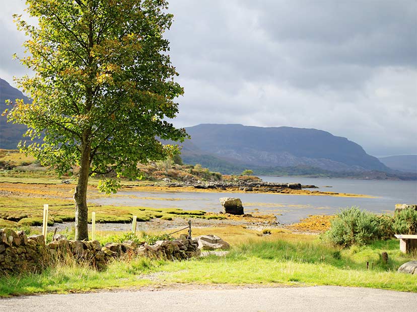 Scottish Countryside