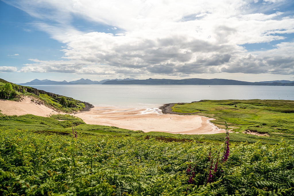 Sandy beach
